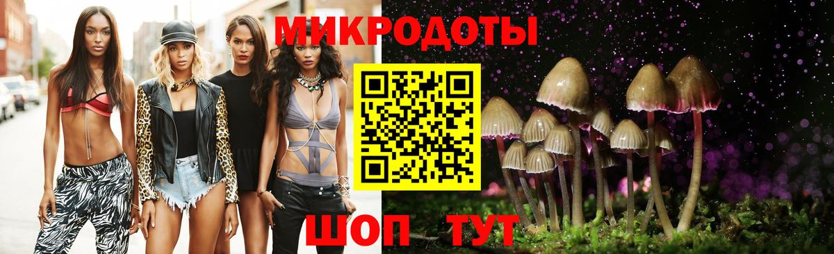 Кувандык  Псилоцибиновые грибы Psilocybine cubensis  Вход с VPN 